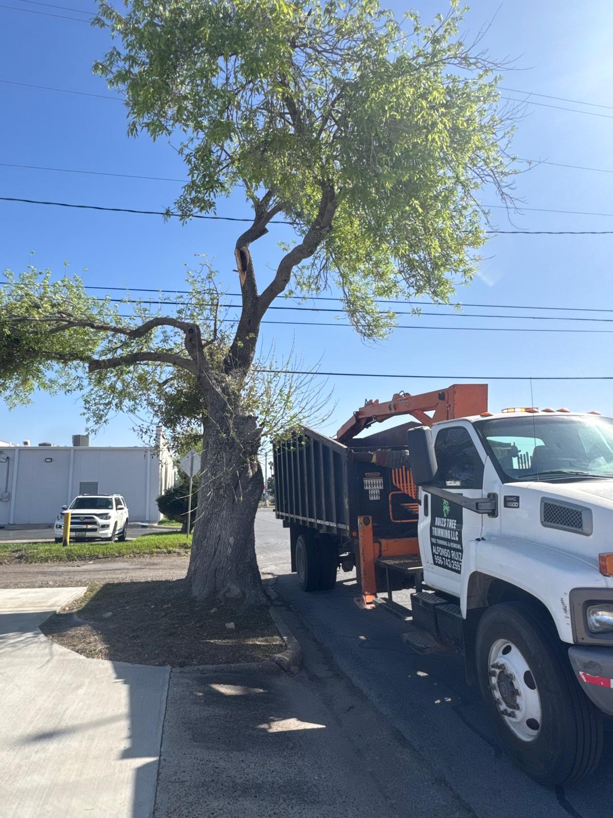 WhatsApp Image 2026-04-09 at 6.04.09 PM